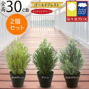 フェイクグリーン 屋外用 屋外対応 おしゃれ ゴールドクレスト コニファー 人気 リアル インテリアグリーン 観葉植物 人工観葉植物 人工樹木 造花 アートグリ...