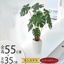 フェイクグリーン モンステラ おしゃれ 人気 おすすめ リアル インテリアグリーン 小型 小さい 小さめ 人工観葉 人工樹木 造花 インテリア オブジェ 本物そ...