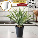 フェイクグリーン オリヅルラン オリズルラン おしゃれ 人気 リアル インテリアグリーン 観葉植物 人工観葉植物 造花 アートグリーン 人工樹木 鉢物 お洒落 ...