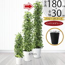 ポトス 支柱 ヘゴ フェイクグリーン 大型 おしゃれ 人気 インテリアグリーン リアル 人工観葉植物 観葉植物 人工樹木 造花 タワー アイビー ミックス イン...