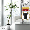 フェイクグリーン ガジュマル カジュマル 観葉植物 人気 リアル おすすめ インテリアグリーン 人工観葉植物 造花 人工樹木 インテリア アートグリーン オブジ...