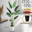 ストレリチア ストレチア フェイクグリーン おしゃれ 人気 おすすめ リアル インテリアグリーン 人工観葉植物 造花 人工樹木 観葉植物 アートグリーン インテ...