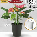 造花 カラー 鉢花 おしゃれ 人気 おすすめ リアル フェイクグリーン インテリアグリーン 観葉植物 花 緑 人工観葉植物 アーティフィシャルフラワー 人工樹木...