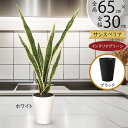 フェイクグリーン 多肉植物 おしゃれ 人気 リアル おすすめ インテリアグリーン サンセベリア サンスベリア 斑入り 人工観葉植物 人工樹木 造花 アートグリー...