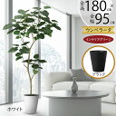 フェイクグリーン おしゃれ 大型 観葉植物 ウンベラータ リアル 人気 おすすめ 人工観葉植物 樹木 造花 インテリアグリーン アートグリーン インテリア 特大...