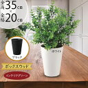フェイクグリーン おしゃれ 人気 リアル おすすめ インテリアグリーン 小型 小さめ 人工観葉植物 造花 人工樹木 インテリア オブジェ アートグリーン 本物そ...