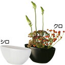 花器 セラミック 全高11.5cm×幅23cm×奥行8cm 2個セット 陶磁器 花入れ 花瓶 フラワーベース フラワーアレンジメント ディスプレイ 装飾