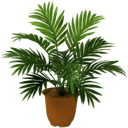 アレカヤシ 観葉植物 【フェイクグリーン】おしゃれ 観葉植物 全高55cm インテリアグリーン インテリア 造花 アートグリーン アレカヤシ ヤシ類 ヤシの木 人工観葉植物 人工樹木 人気 高品質 リアル 室内 フロア オブジェ 鉢付き 新築祝い 引越し祝い ギフト トロピカル リゾート風 南国ムード