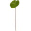 人工観葉植物・ルナ・ロータス・リーフ・S・全長58cm・3本セット(ハス/蓮の葉)(造花/アーティフィシャルフラワー/花材/葉材/グリーン材)(フラワーアレンジメント/ディスプレイ/装飾)