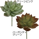 エケベリア 多肉植物 フェイクグリーン おしゃれ インテリアグリーン 人気 リアル アートプランツ 造花 アートグリーン ミニ観葉 人工観葉植物 人工樹木 観葉...