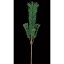 人工観葉植物・若松・全長66cm・2本セット(松/まつ/マツ)(造花/人工樹木/花材/リーフ/グリーン材)(アレンジ/ディスプレイ/装飾)
