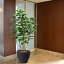 【人工植物】ボダイジュ全高1.2m(菩提樹)(フェイクグリーン/インドアグリーン/造花/人工樹木/人工観葉植物)