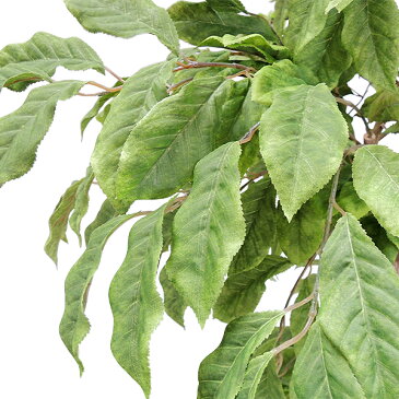 人工観葉植物・全高2.3m・サクランボの木・実なし【★配送制限有り】(桜桃/西洋実桜/オウトウ/チェリーの木/チェリーツリー)(人工観葉植物/人工樹木/造花/インテリアグリーン/フェイクグリーン)