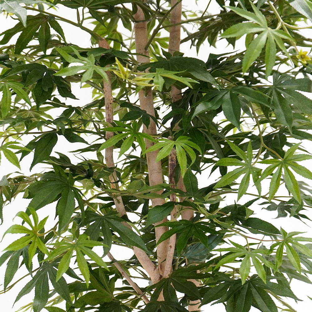 人工観葉植物全高1.2m青モミジカエデもみじ山もみじ人工樹木造花花材リーフ葉材インテリアグリーンフェイクグリーンオブジェディスプレイディスプレー装飾和風四季春夏空間演出