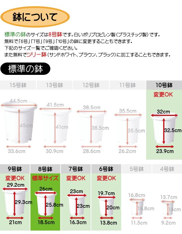 【人工植物】トネリコ全高1.2m(フェイクグリーン/インドアグリーン/造花・観葉植物/人工樹木/人工観葉植物)