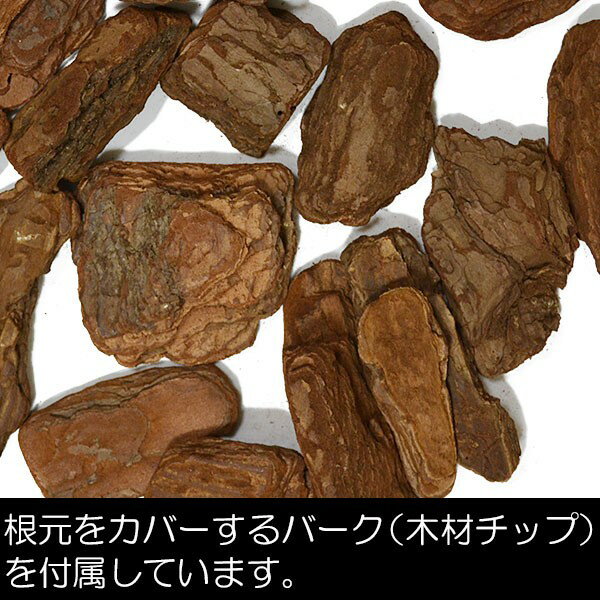 パーテーション全高80cmボックスウッド・プランター(フェイクグリーンインテリアグリーン造花ワイド間仕切りパーティション)