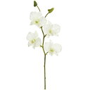 【造花】おしゃれ インテリア デンファレ 全長33cm 4本セット デンドロビウム ラン科 蘭 人工観葉植物 アーティフィシャルフラワー 花材 フラワーアレンジ...