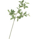【フェイクグリーン】おしゃれ フィットニア 全長62cm 5本セット インテリアグリーン 造花