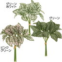 【フェイクグリーン】おしゃれ ヒポエステス 全長16cm 5束セット 1束6本×5束 造花 インテリアグリーン トロピカル