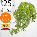 苔 コケ フェイクグリーン おしゃれ 人気 こけ モス インテリアグリーン リアル アートプランツ 人工観葉植物 造花 アートグリーン 花材 オブジェ フラワーアレンジメント ディスプレイ 雑貨 装飾 和風 インテリア お洒落 本物そっくり 高品質 ピック 全長25cm 3本セット