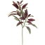 人工観葉植物 サルビア 全長40cm 3本セット 葉っぱ 造花 人工樹木 フェイクグリーン インテリアグリーン