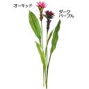 【造花】おしゃれ インテリア ジンジャー 全長88cm 2本セット 人工観葉植物 アーティフィシャルフラワー トロピカル