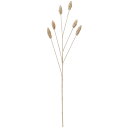 【フェイクグリーン】おしゃれ 小麦 全長66cm 4本セット コムギ 紅葉 アーティフィシャルフラワー インテリアグリーン