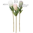 【造花】おしゃれ インテリア プロテア 全長59cm 2本セット アーティフィシャルフラワー 人工観葉植物 トロピカル