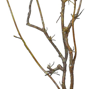 枝物 全長86cm 3本セット(枝もの 枝 造花 人工樹木 アーティフィシャルフラワー インテリア 人工観葉植物)
