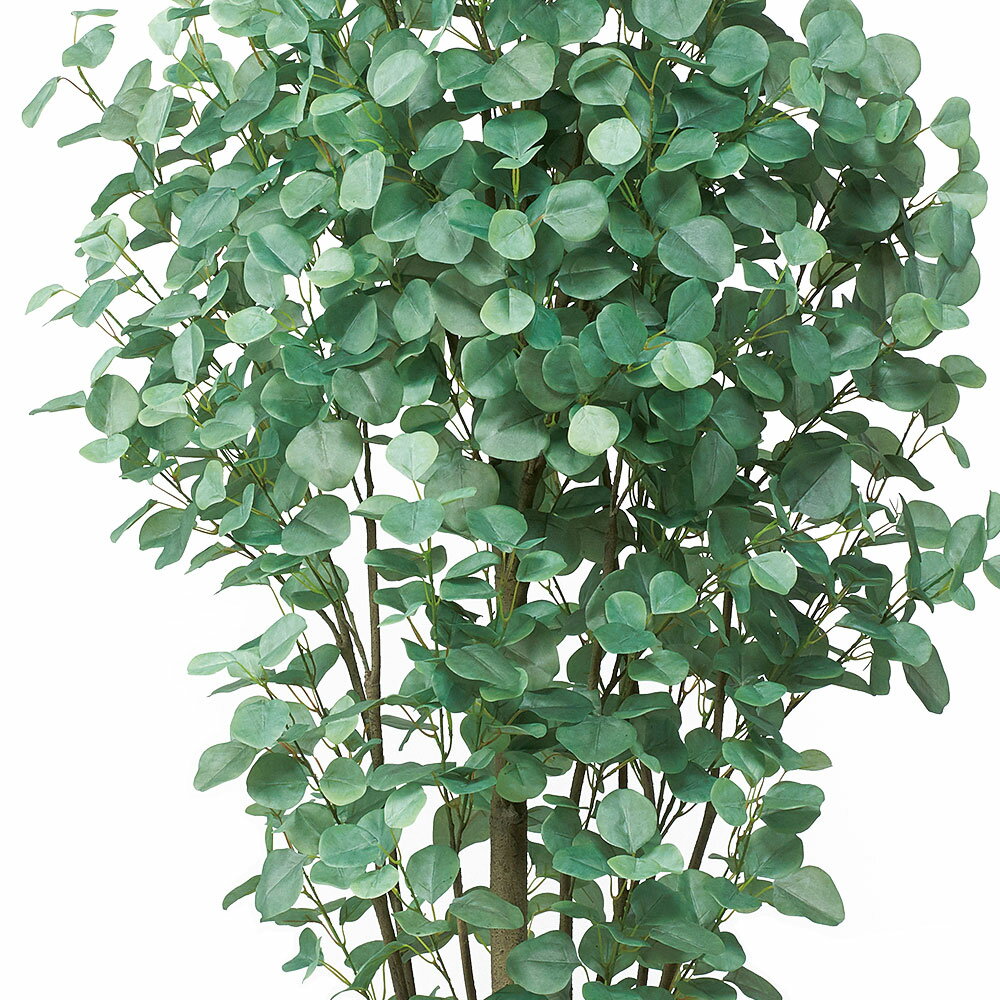 ナチュラル ユーカリ 大型 人工観葉植物 全高2.25m(ユーカリの木 人工樹木 造花 インテリアグリーン フェイクグリーン)：グリーンランド  がございま - badi.md