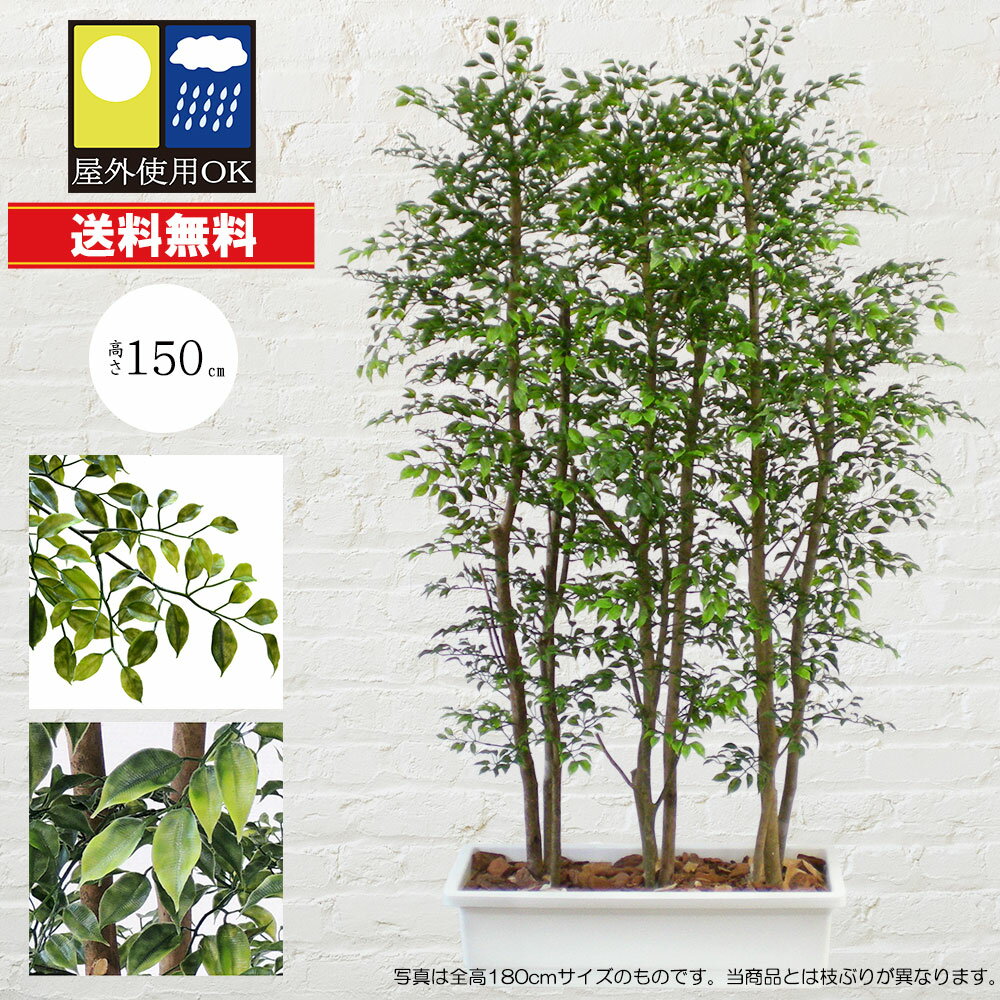 フェイクグリーン 観葉植物 フェイク 人工観葉植物 卓上 ミニ 小さい 光触媒 レインボーテルミナリス 55cm 人工造花 光触媒 CT触媒 インテリア カジュアルポット 鉢付