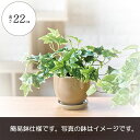 フェイクグリーン アイビー 人気 おしゃれ おすすめ リアル インテリアグリーン 造花 人工観葉植物 アートグリーン インテリア オブジェ 人工樹木 本物そっく...