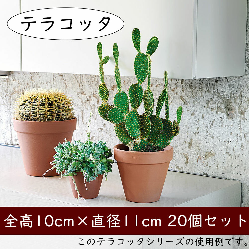 【植木鉢】おしゃれ テラコッタ プランター 20個セット 全高10cm×直径11cm 小型 人気 おすすめ トスカーナ スタンダードポット 陶器製 素焼き ポット 器 底穴あり ガーデニング 園芸 鉢植え 寄せ植え 観葉植物 花 緑 インテリアグリーン 室内 屋外 お庭 イタリア製 赤土 1