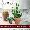 【植木鉢】おしゃれ テラコッタ プランター 6個セット 全高27.5cm×直径31.5cm 人気 トスカーナ スタンダードポット 陶器製 素焼き ポット 器 底穴あり ガーデニング 園芸 鉢植え 寄せ植え 観葉植物 花 緑 インテリアグリーン 室内 屋外 イタリア製 赤土