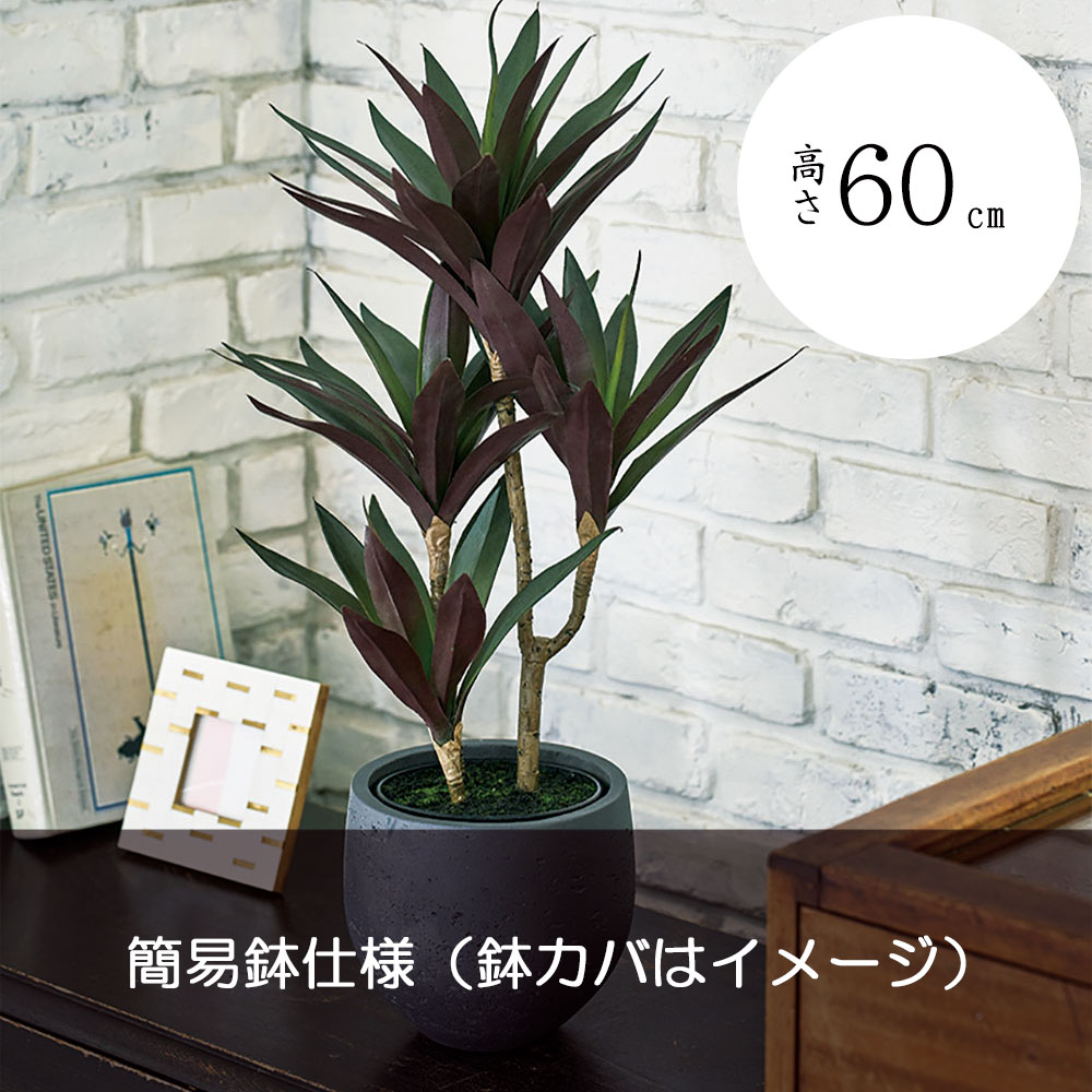 幸福の木 観葉植物 【フェイクグリーン】観葉植物 おしゃれ ドラセナ ユッカ 青年の木 幸福の木 エレファンティペス インテリアグリーン 全高65cm インテリア 造花 人工観葉植物 人工樹木 アートグリーン 人気 おすすめ リアル オブジェ 室内 屋内 フロア メンテナンスフリー 高品質 卓上サイズ