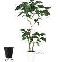 【フェイクグリーン】観葉植物 おしゃれ ウンベラータ 全高1.5m 2本立 FST 高品質 リアル 上質 造花 インテリア 人工観葉植物 人工樹木 アートグリーン オブジェ 人気 室内