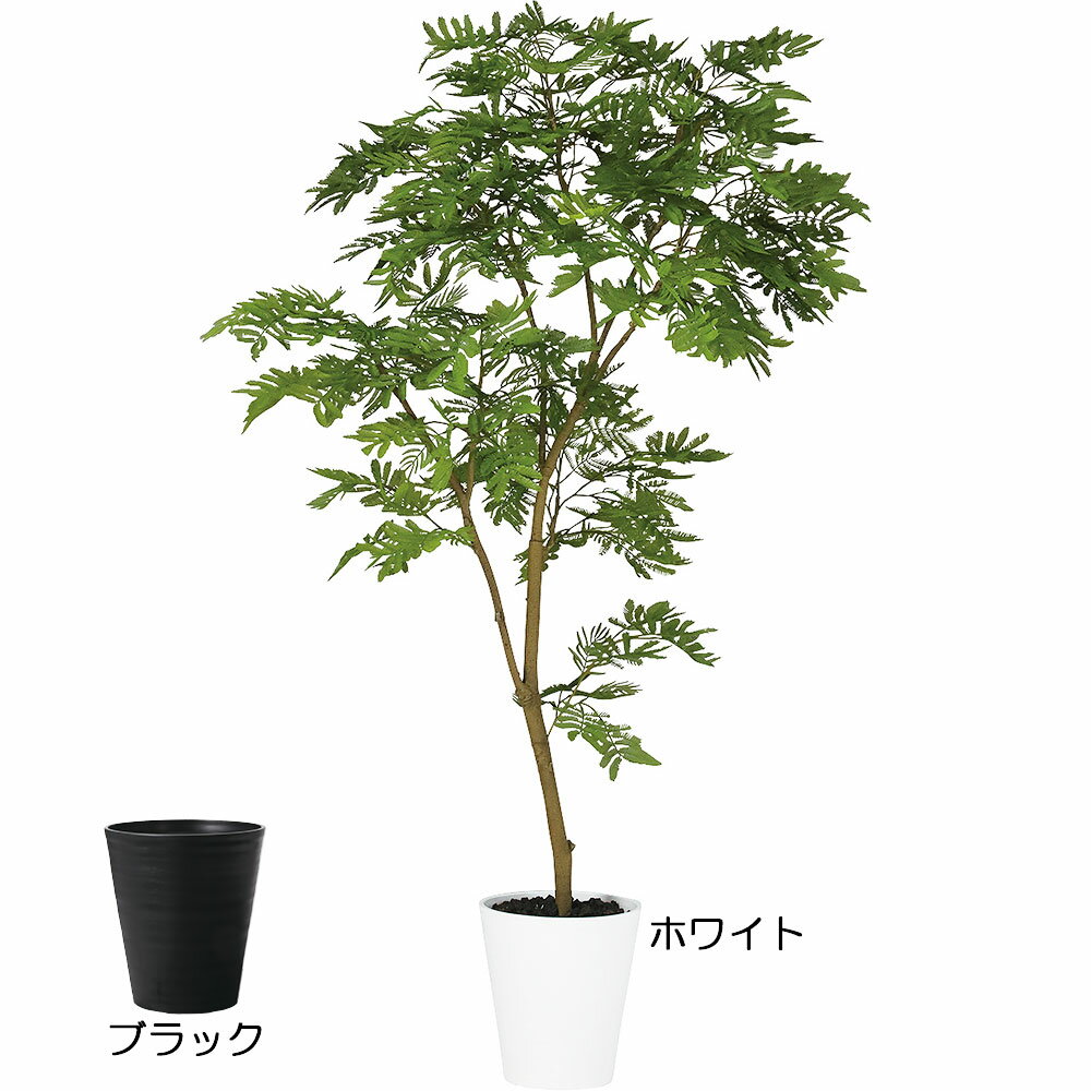 【フェイクグリーン】観葉植物 おしゃれ 全高1.5m エバーフレッシュ ねむの木 ネムの木 人気 インテリアグリーン 造花 インテリア 人工観葉植物 人工樹木 アートグリーン エバーグリーン FST …