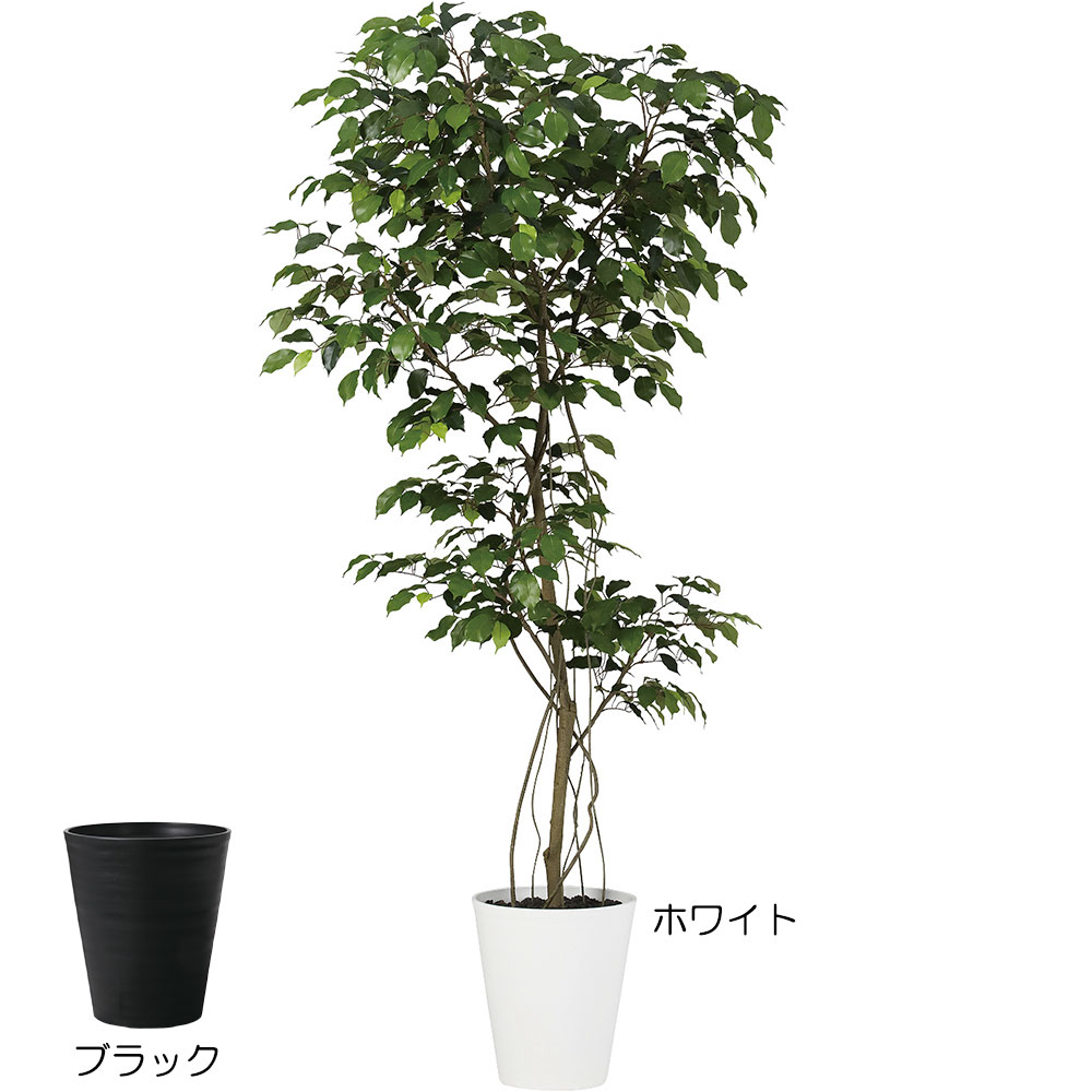 楽天グリーンランドフェイクグリーン おしゃれ 観葉植物 大型 リアル 人気 おすすめ インテリアグリーン 全高180cm 特大 大きい 大きめ ベンジャミン フィカス ベンジャミナ FST 人工観葉植物 人工樹木 造花 インテリア アートグリーン 緑 本物そっくり 高品質 上質 ナチュラル 爽やか 空間演出