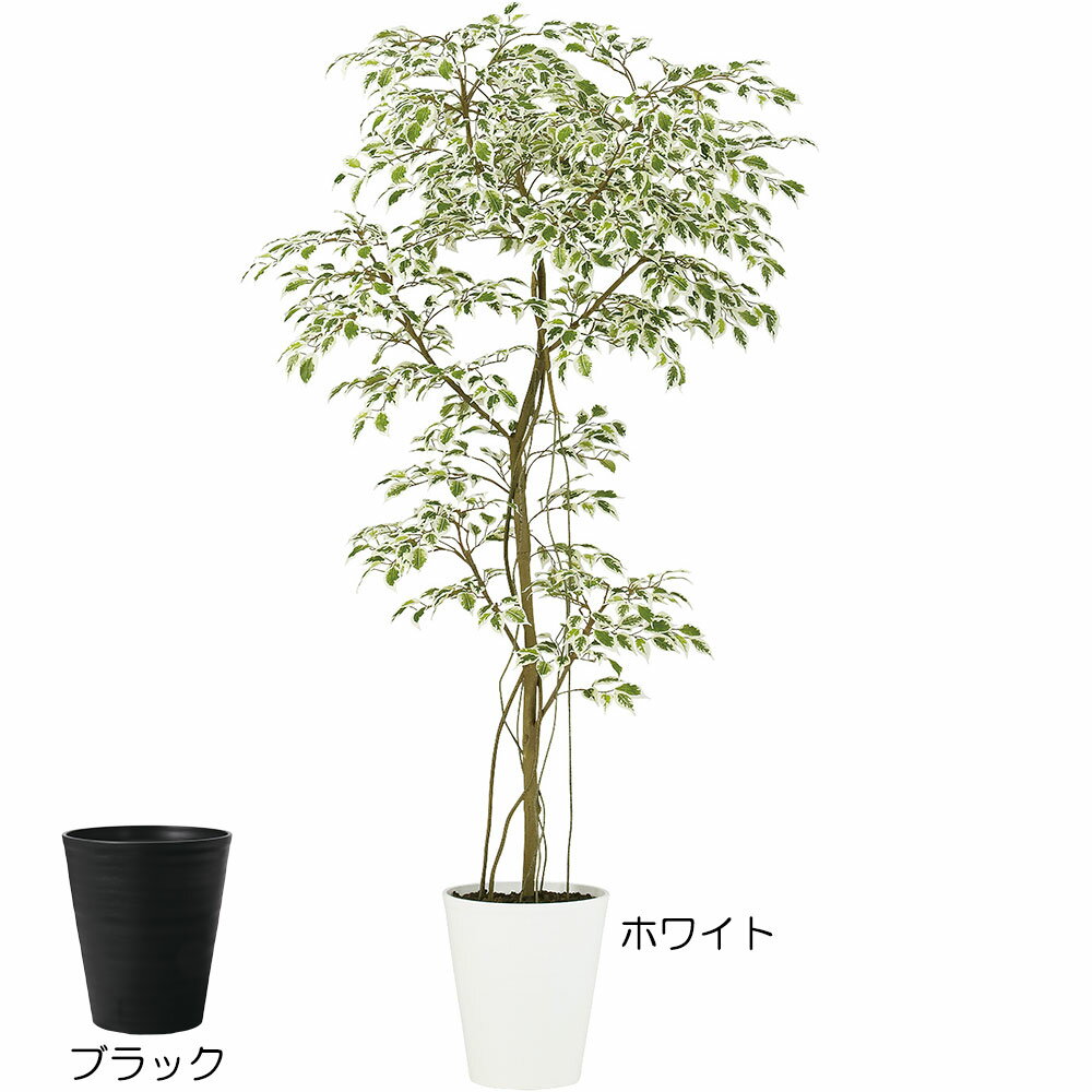 フェイクグリーン おしゃれ 観葉植物 大型 リアル 人気 おすすめ インテリアグリーン 全高180cm ベンジャミン 斑入り フィカス ベンジャミナ FST 人工観葉植物 人工樹木 造花 インテリア アートグリーン 本物そっくり 高品質 上質 ナチュラル 爽やか 特大 大きい 大きめ