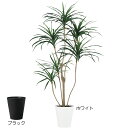 【フェイクグリーン】おしゃれ 大型 ドラセナ コンシンネ 人気 おすすめ リアル 観葉植物 全高180cm 人工観葉植物 造花 人工樹木 アートグリーン 緑 インテリア オブジェ 本物そっくり 特大 大きい 大きめ 鉢付き 室内 リビング オフィス 店舗 新築祝い 引っ越し祝い ギフト