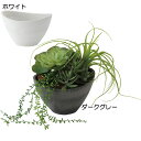 おしゃれ 観葉植物 インテリアグリーン エケベリア ミックス 全高18cm 造花 インテリア 小型グリーン 人工樹木 多肉植物