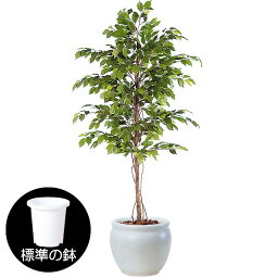 【フェイクグリーン】観葉植物 おしゃれ インテリアグリーン 大型 全高180cm リアル 人気 おすすめ 特大 人工観葉 人工樹木 造花 自然木 緑 ベンジャミン フィカス ベンジャミナ インテリア アートグリーン オブジェ 鉢付き 個人宅 店舗 オフィス ギフト 新築祝い 開店祝い