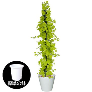 人工観葉植物 全高1.8m ゴールデンポトス【★配送制限有り】 タワー ヘゴ オウゴンカズラ 人工樹木 造花 葉材 リーフ フェイクグリーン インテリアグリーン オブジェ ディスプレイ 装飾