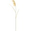 人工観葉植物 パンパス 全長117cm 3本セット 白金葦 銀葦 シロガネヨシ 造花 リーフ 花材 グリーン材 葉材 フラワーアレンジメント ディスプレイ 装飾 和 秋 冬演出