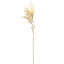 人工観葉植物 パンパス 全長118cm 2本セット 白金葦 銀葦 シロガネヨシ 造花 リーフ 花材 グリーン材 葉材 フラワーアレンジメント ディスプレイ 装飾 和 秋 冬演出