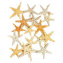 天然素材 スターフィッシュ 全長3〜6cm 40個セット 1袋20個×2袋 ドライフラワー 自然素材 シェル 雑貨 花材 資材 インテリア フラワーアレンジメン...