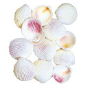 天然素材 ホワイトコルクス 全長3〜5cm 2袋セット 1袋約120g×3袋 ドライフラワー 自然素材 シェル 雑貨 花材 資材 インテリア フラワーアレンジメ...