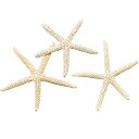 天然素材 ホワイトスターフィッシュ小 全長8〜12cm 6個セット 1袋3個×2袋 ドライフラワー 自然素材 シェル 雑貨 花材 資材 インテリア フラワーアレ...