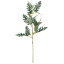 人工観葉植物 ダスティミラー 全長37cm 4本セット ダスティーミラー 白妙菊 シロタエギク 造花 人工樹木 リーフ 花材 葉材 グリーン材 フラワーアレンジメント ディスプレイ 装飾
