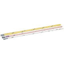 ワイヤー裸線♯30 全長45cm 2セット 1束200本×10束 資材 花材 道具 手芸用品 アレンジメント リボンワーク ワイヤリング